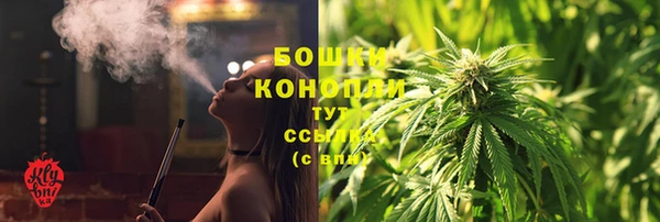 дмт Лагань