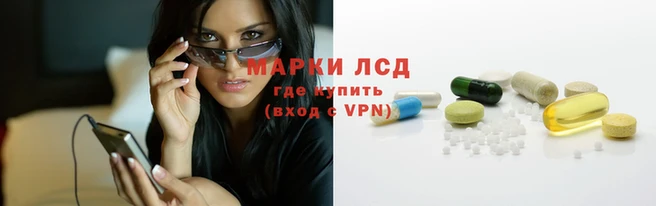 гидропоника Ладушкин
