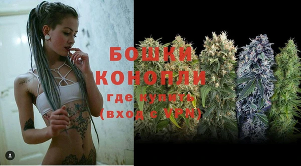 дмт Лагань