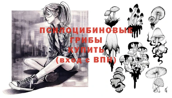эйфоретик Лабытнанги