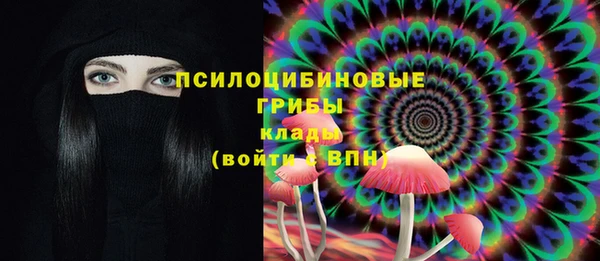 эйфоретик Лабытнанги