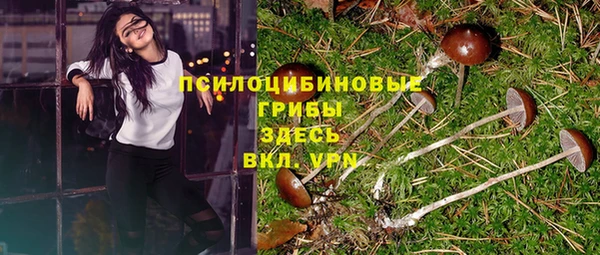 эйфоретик Лабытнанги