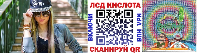 Купить закладки  Протвино  Наркотические марки 1500мкг 